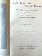 Antique Forestry Tree Identification Botany Nature Study 4 Book Lot 1919-1925