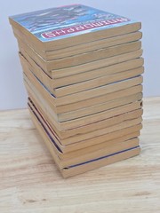 Animorphs Book K.A. Applegate Original 1990s Vintage Paperback Lot Of 16 Mixed