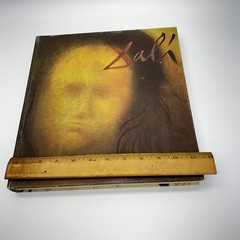 Dali by Max Gerard 1968 Harry N Abrams Inc Art Book Hardcover Surrealism