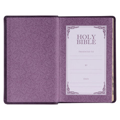 KJV Holy Bible, Standard Size Faux Leather Red Letter Edition Thumb Index & Ribb