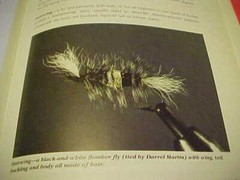 THE ILLUSTRATED ENCYCLOPEDIA OF FLY-FISHING BY SILVIO CALABI ((O)) 336 PAGES