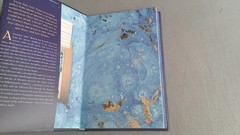 The Astral Library 2026 HC Deluxe First Edition by Kate Quinn