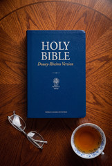 Douay-Rheims Bible Paperbound TAN Books Catholic Holy Scripture New Edition