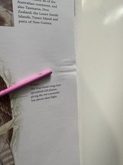 Encyclopedia of Birds: 400 Species from Around the World 448 Pages 9″x12″