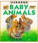 Baby Animals