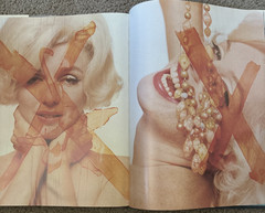 The Last Sitting Bert Stern – Marilyn Monroe 1982 William Morrow & Company