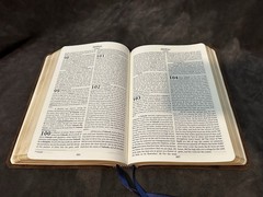 Rare Custom cepher bible Apocrypha Deuterocanonical Premium Leather Brown Enoch
