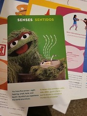 Sesame Street WORDS ARE EVERYWHERE Learning Series Bilingual Kit – Book DVD More