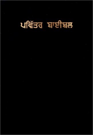 PUNJABI HOLY BIBLE (PUNJABI EDITION) **BRAND NEW**