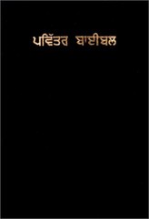PUNJABI HOLY BIBLE (PUNJABI EDITION) **BRAND NEW**