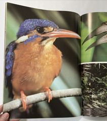 Tropical Rainforests of the World Rupert Matthews Nature Wildlife Photography