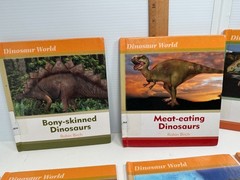Set of 6 Dinosaur World Books Robin Birch Ex-Lib Teacher Homeschool Reading