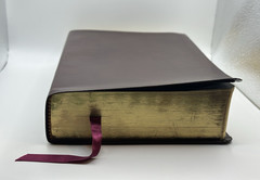 The NET Bible First Edition Premium Bonded Leather