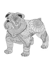Dogs and Cats Coloring Book for All Ages 108 Pages 8.5 x 11 for All Ages