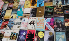 Lot of 10 Hardcover or Papeback Books GENERAL FICTION MIXED GENRE GREAT VARIETY