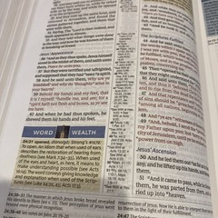 KJV Spirit Filled Life Bible Third Edition RED LETTER BROWN LEATHER SOFT