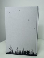 The Witcher The Last Wish by Andrzej Sapkowski 2020 Illumicrate HB