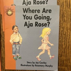 Lot of 21 Sunshine Books The Wright Group DRA 6 & 8 Early Readers Joy Cowley
