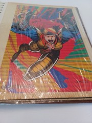 Book Of Various Super Heros Small Posters And Cards USED SEE Photos