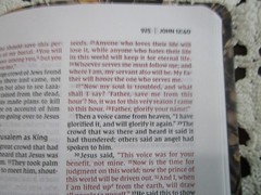 NIV 2011 Thinline Bible *Lost Camo Edition Red Letter* Imit Leather* 9.4pt