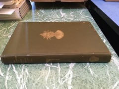 BUREAU OF AMERICAN ETHNOLOGY 40th Annual Report 1918-19 HB Smithsonian Fox