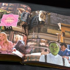Wicked Hardcover Illustrated Book, English Film/TV Adaptation