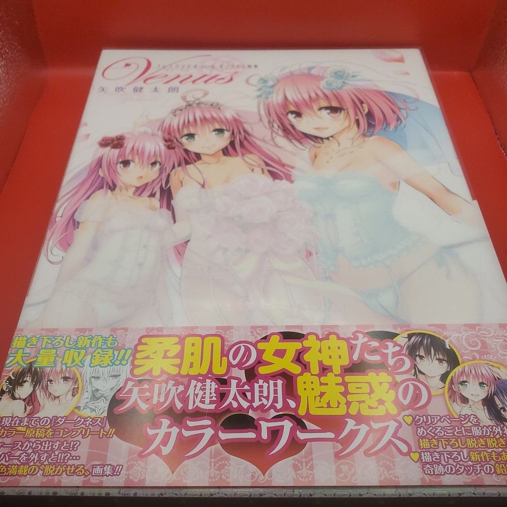 To Love Ru Darkness Art Book Venus Kentaro Yabuki 2012 w/clear case from Japan