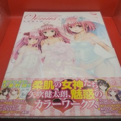 To Love Ru Darkness Art Book Venus Kentaro Yabuki 2012 w/clear case from Japan