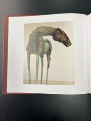 Deborah Butterfield by Robert Gordon (2003, Hardcover)