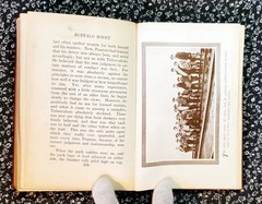 Buffalo Roost, F. H. Cheley, 1913, First Edition, Hardcover, Antique