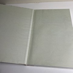 Vincent van Gogh: The Lost Arles Sketchbook by Bogomila Welsh-Ovcharov