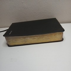 Student Bible NIV Philip Yancey Tim Stafford 2002 Bonded Leather Zondervan