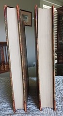 Versuch über die Ungleichheit Der Menschenracen, Gobineau, Volumes 1 & II, 1922