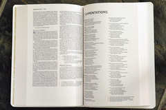 NIV, Gift and Award Bible, Leather-Look, White, Red Letter, Comfort Print