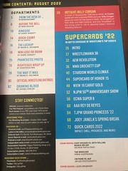 PRO Wrestling Illustrated Aug. 2022 Super Cards 22, CM Punk, Cody Rhodes, more!