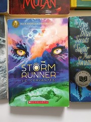 Lot of 10 Young Adult YA Books – Teen Fiction Novels Mixed Genres Bulk Lot