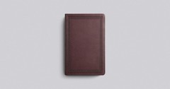 ESV Large Print Value Thinline Bible (Trutone, Mahogany, Border Design)