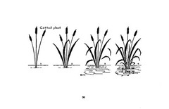 What To Draw And How To Draw It „1913” 76 Pages