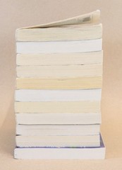 Lot of 11 A Wrinkle In Time by Madeleine L’Engle GUIDED READING Teachers Set