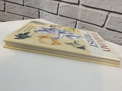 Essential Art Ser.: Anatomy for the Artist (2003, Hardcover)