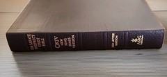 Prophecy Study Bible NKJV Tim LaHaye Genuine Leather Burgundy Vintage 2001