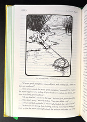 THE WIZARD OF OZ – The First Five Novels by L. FRANK BAUM (HC Collectible 2015)