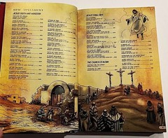 The Action Bible God’s Redemptive Story Sergio Cariello NEW Hardcover Print #16
