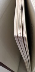 Robert H. Jackson: Country Lawyer/Supreme Court Justice/America’s Advocate- HC
