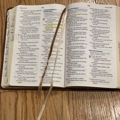 Nelson Bible 6365SAM NCV New Century Version Giant Print Book Tabs *READ*