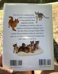 Understanding Cats: Their History, Nature, and Behavior by Tabor, Roger HB DJ