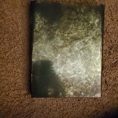 Bioshock 2 Special Edition Strategy Guide Brady Games with the Lithographs