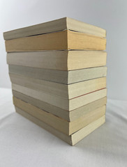 Lot of 9 Mystery Themed Novels Paperbacks Mixed Titles from St. Martin’s Books