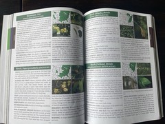 The Forager’s Guide to Wild Foods North American Edition by Nicole Apelian