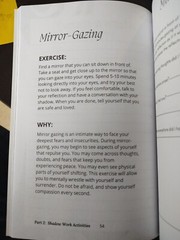 THE SHADOW WORK JOURNAL Guide Integrate & Transcend Your Shadows Self Help Book